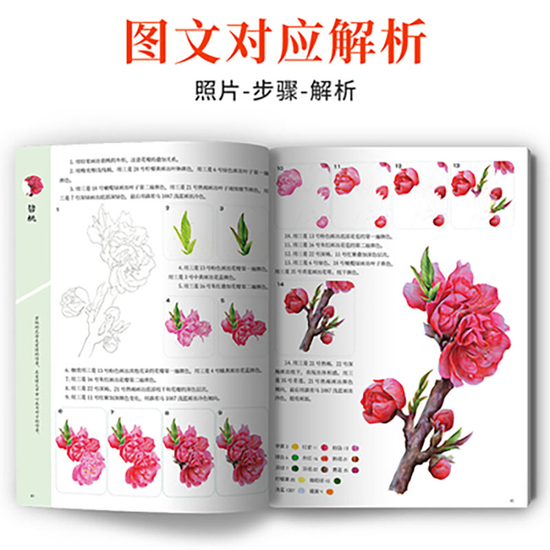 EIN kurs von praktische farbe  – Food Snacks Coloring Book Bewertung und Preis